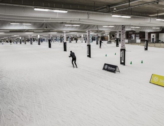 Skidome företagsaktivitet