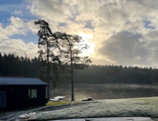 Vacker utsikt mot sjön