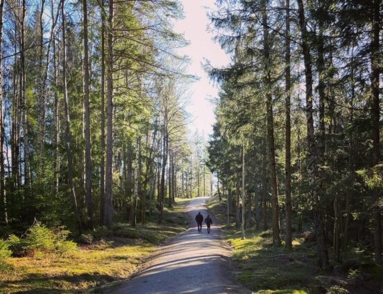 Vandringsleder och elljusspår i närheten