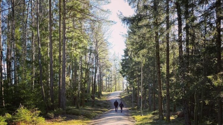 Vandringsleder och elljusspår i närheten