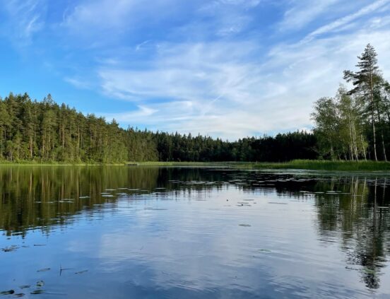 Utsikt över sjön Trehörningen