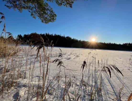 Vacker utsikt mot sjön vintertid