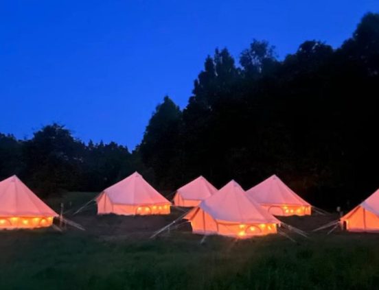 Ale loge konferens aktiviteter fest bröllop övernattning tält EventTjänster