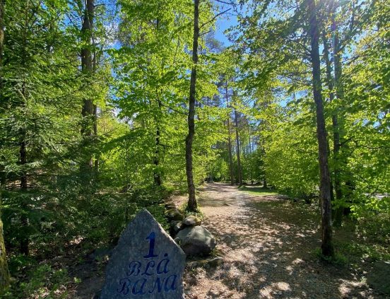 Ale loge konferens aktiviteter fest bröllop övernattning tält EventTjänster